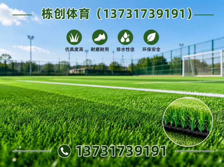 南皮县人造草坪展示图